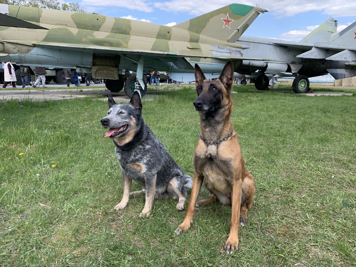 красногорск