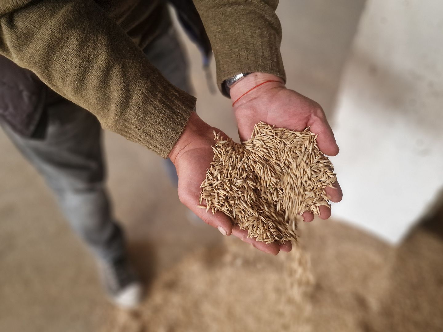 предприятие