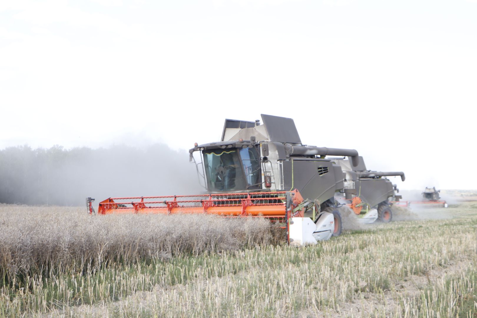 сельское хозяйство