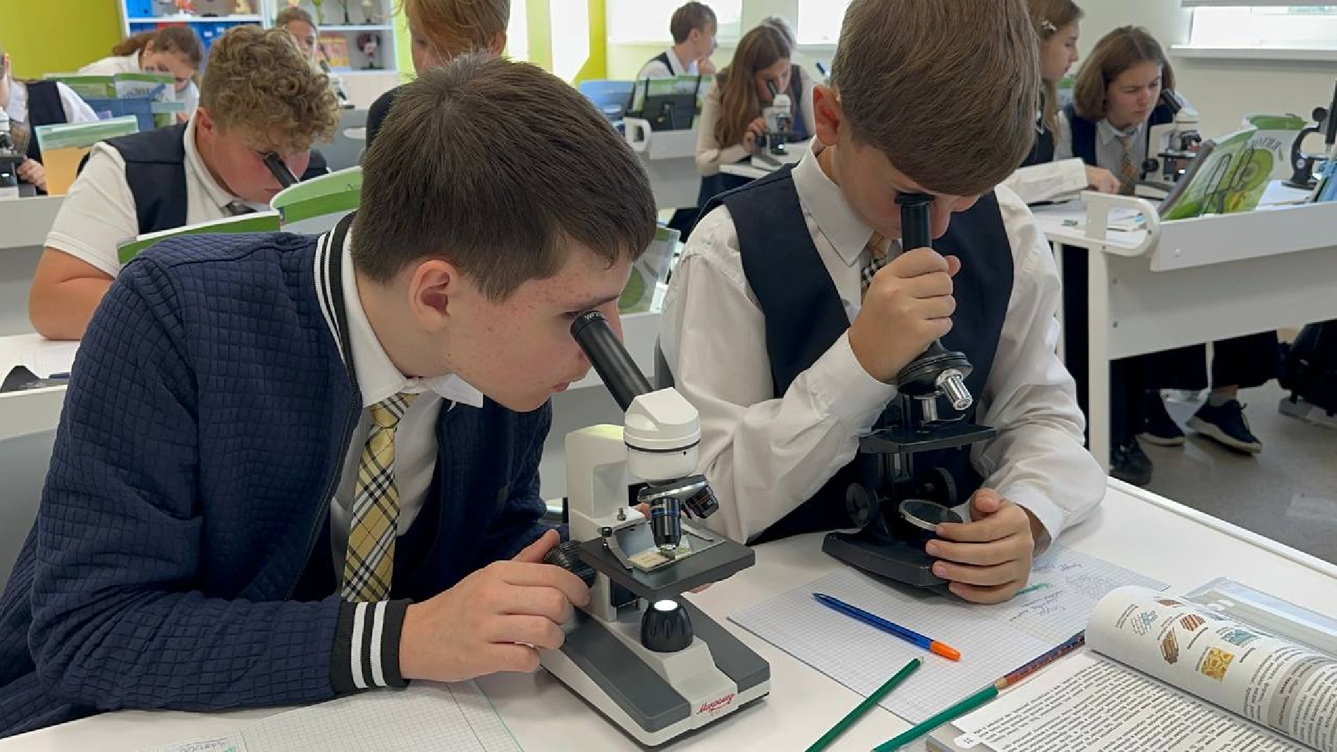 образование