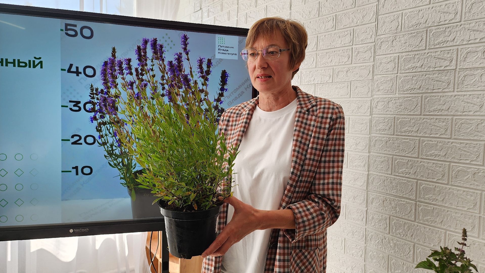 образование