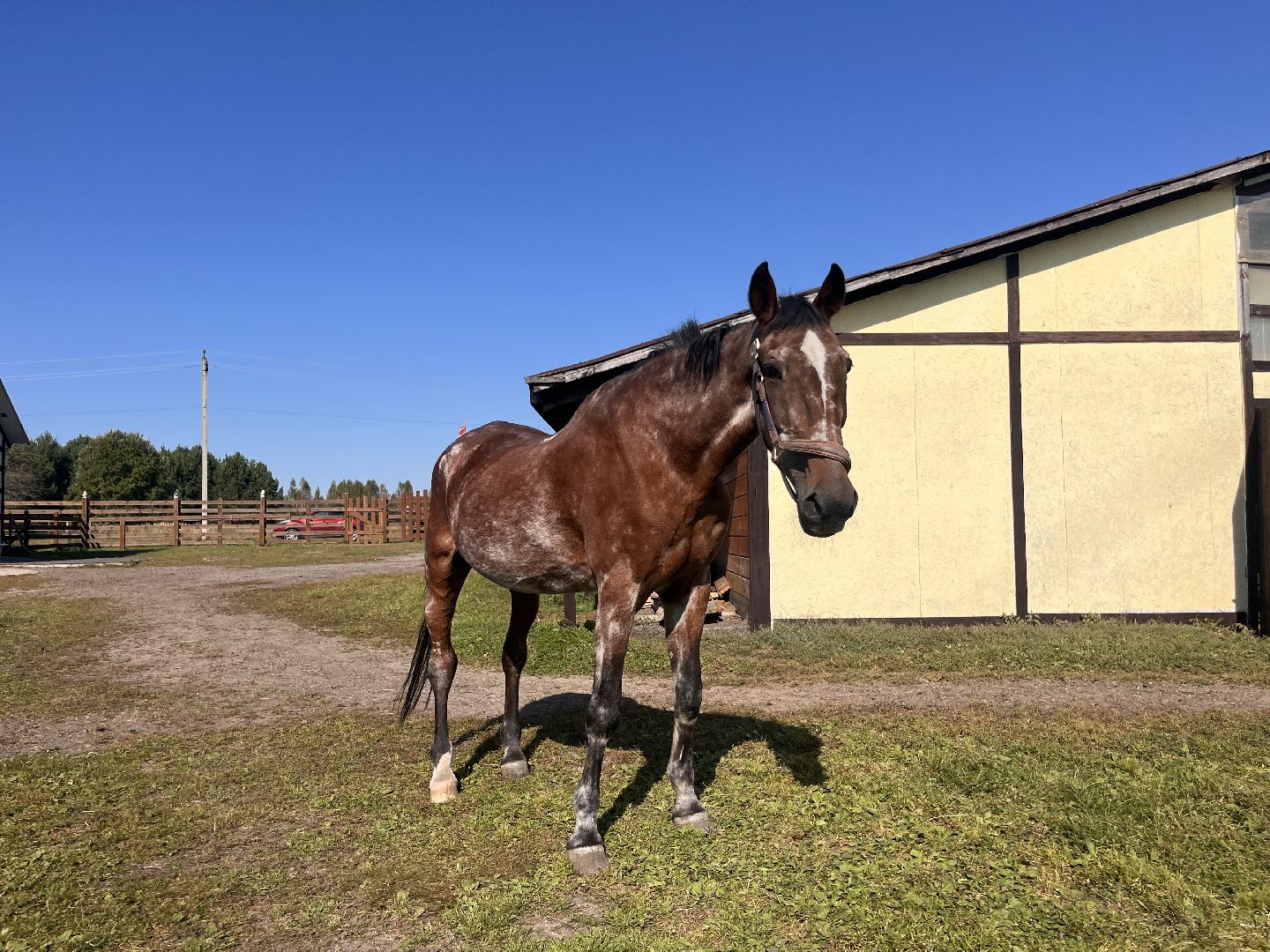 Сельское хозяйство