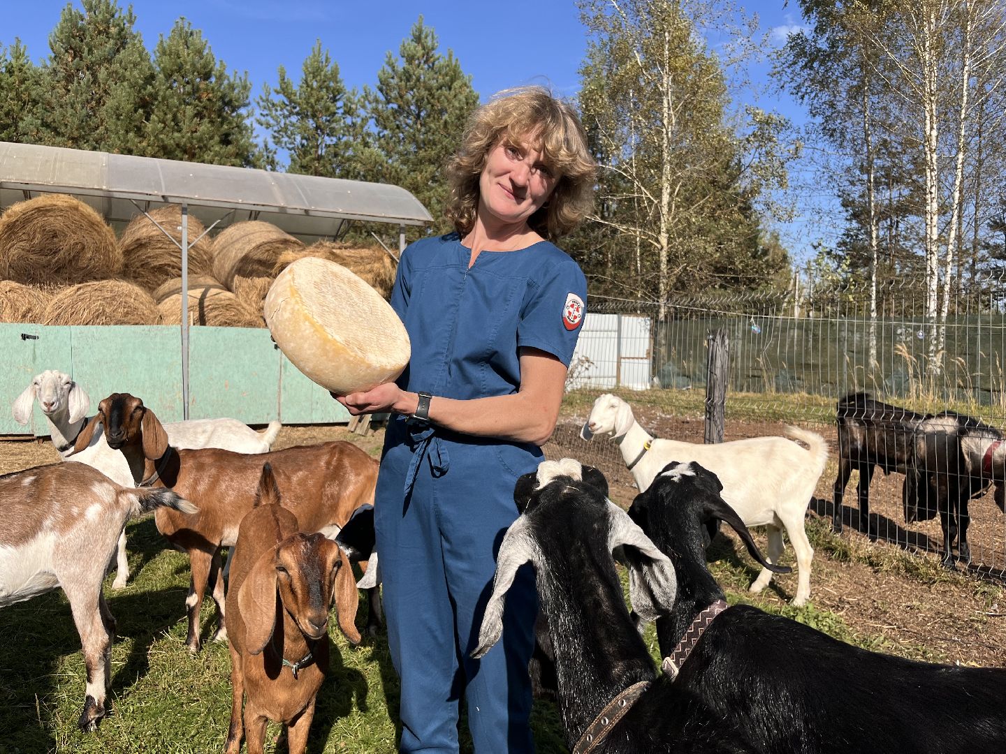 Сельское хозяйство