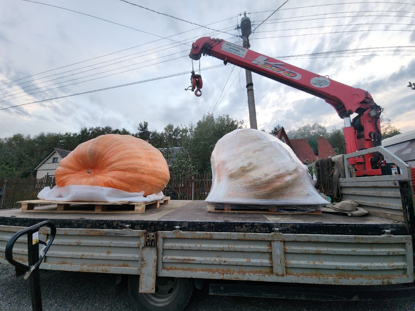 Электрогорск