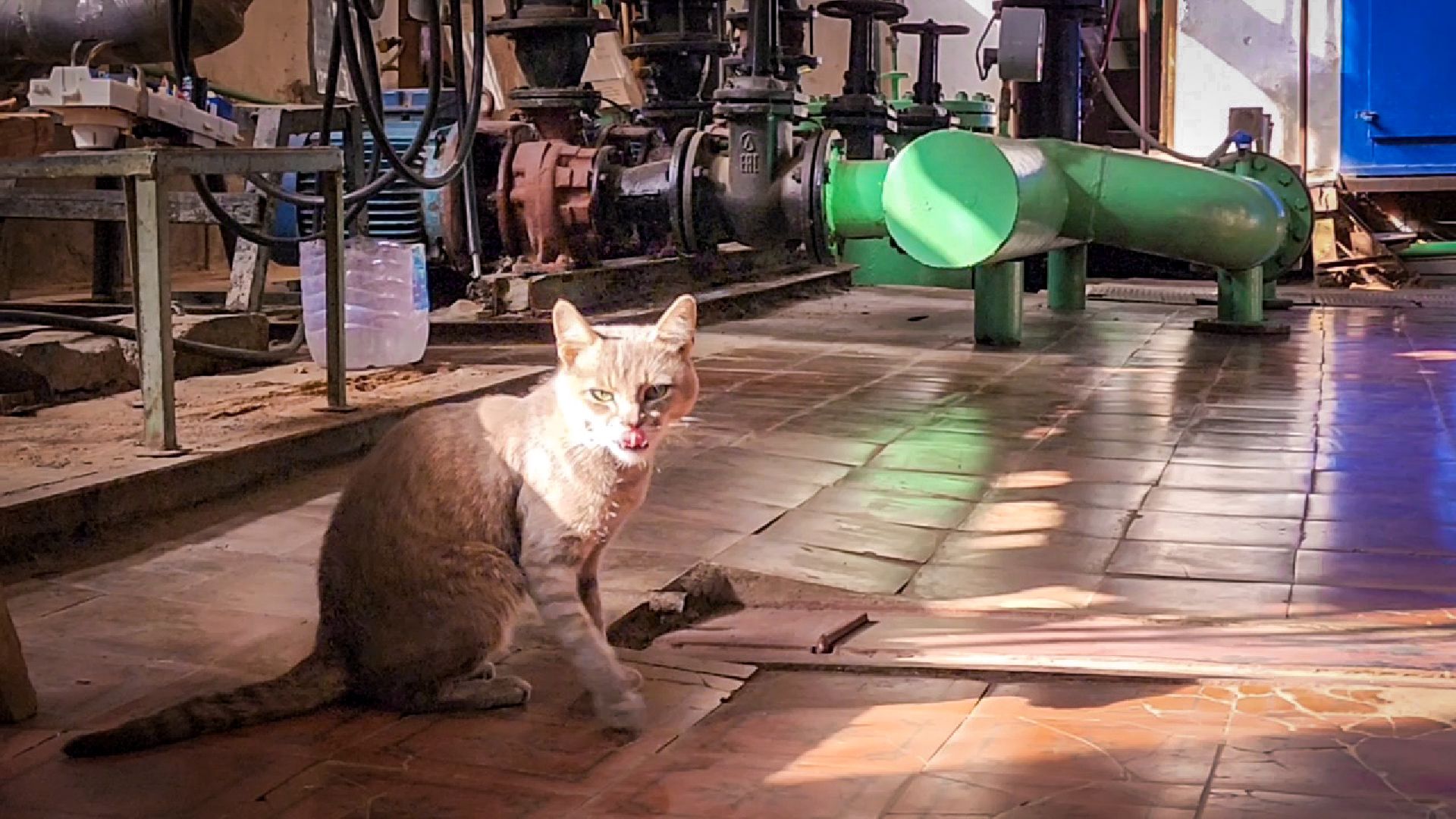 отопительный сезон 2025-2026