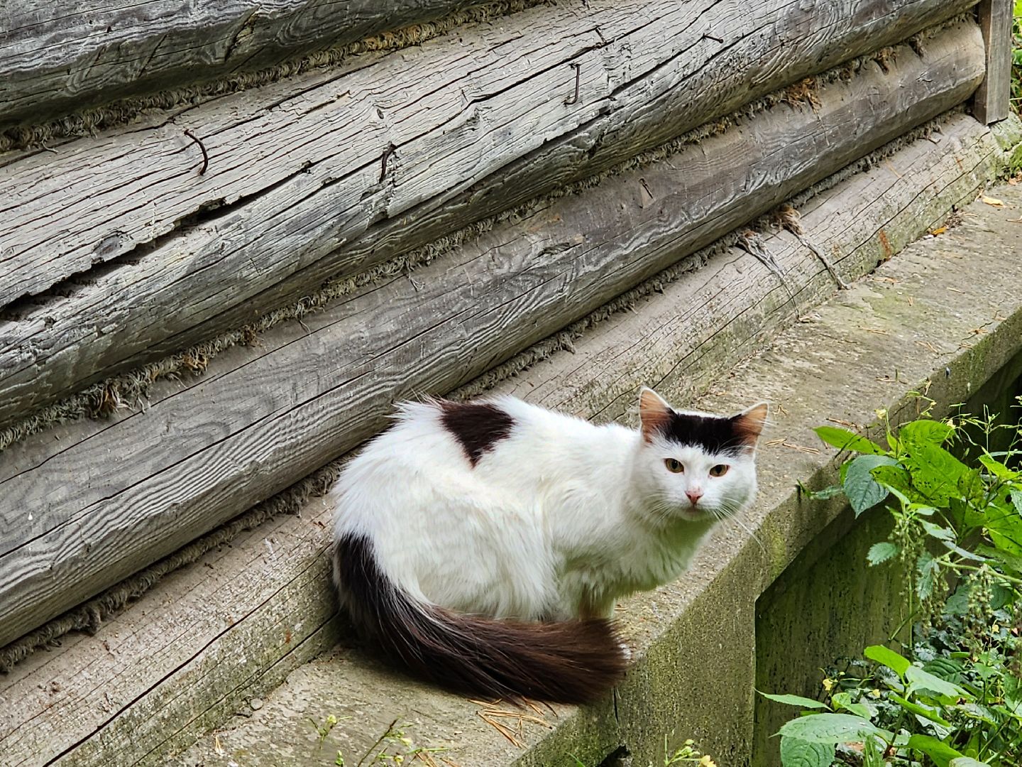 красноармейск