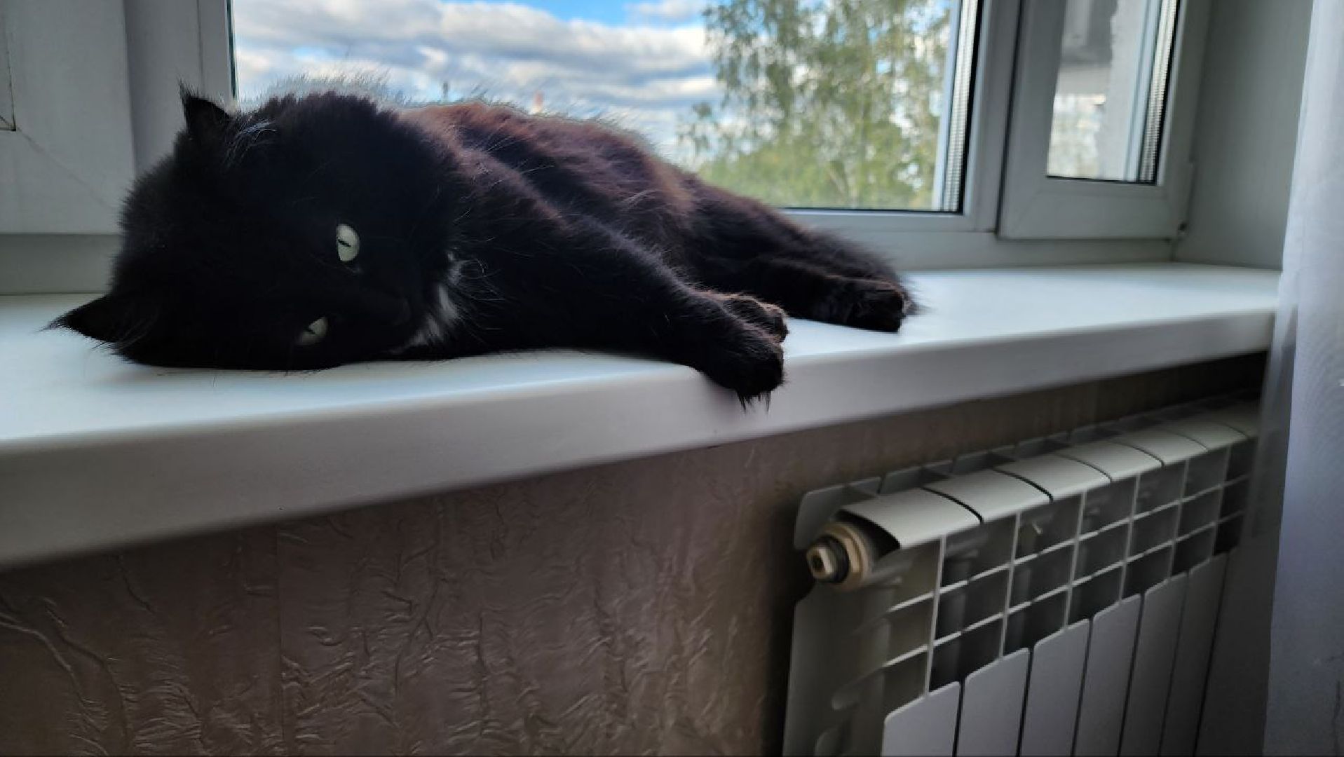 Зимний период