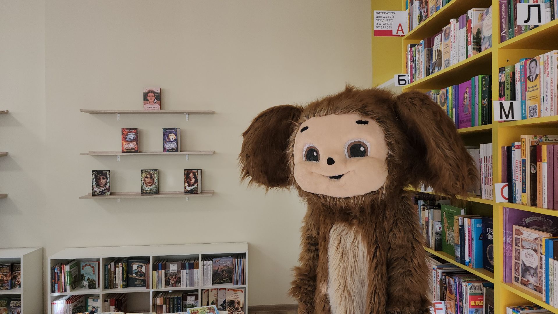 библиотека