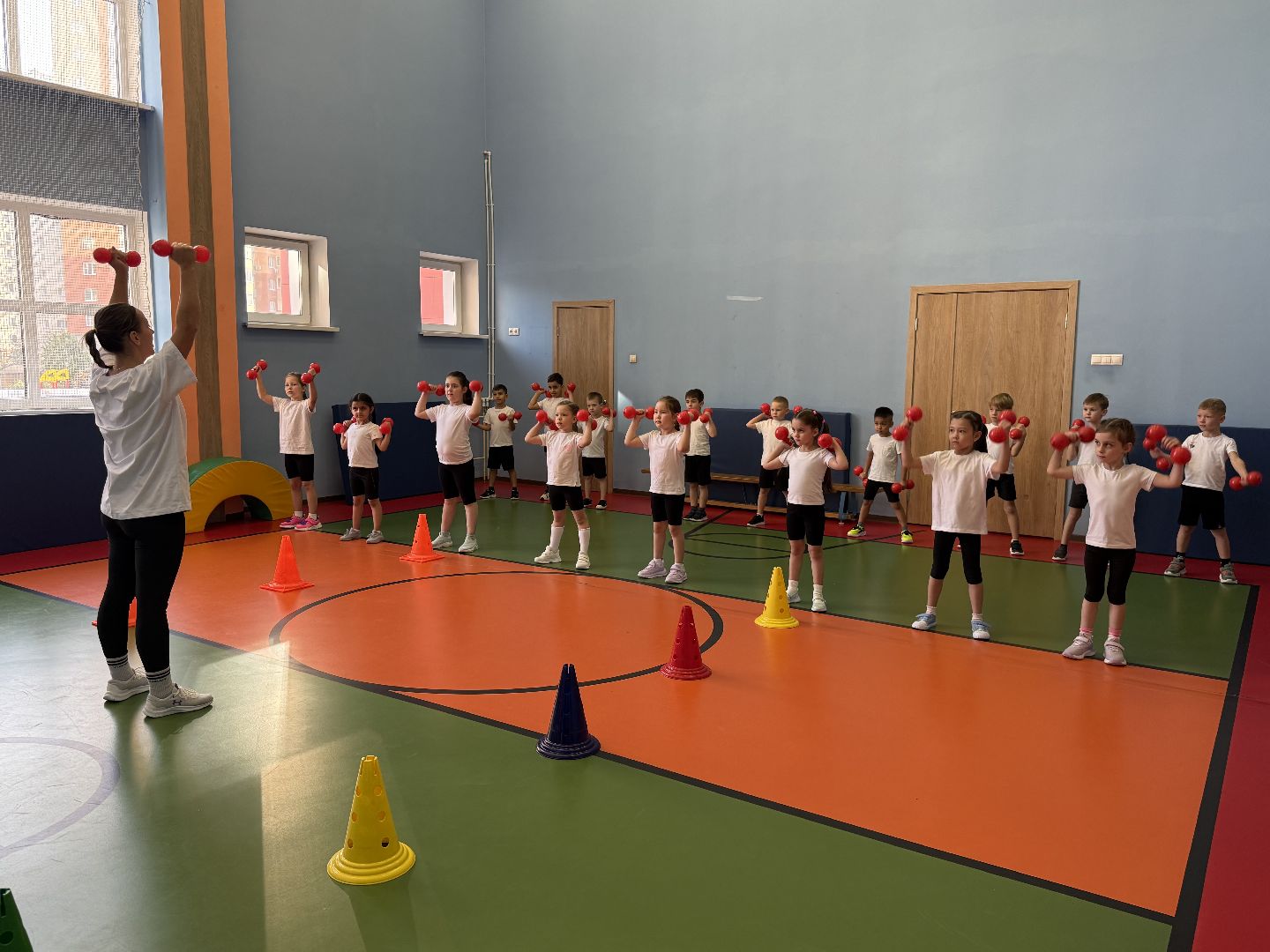 Образование