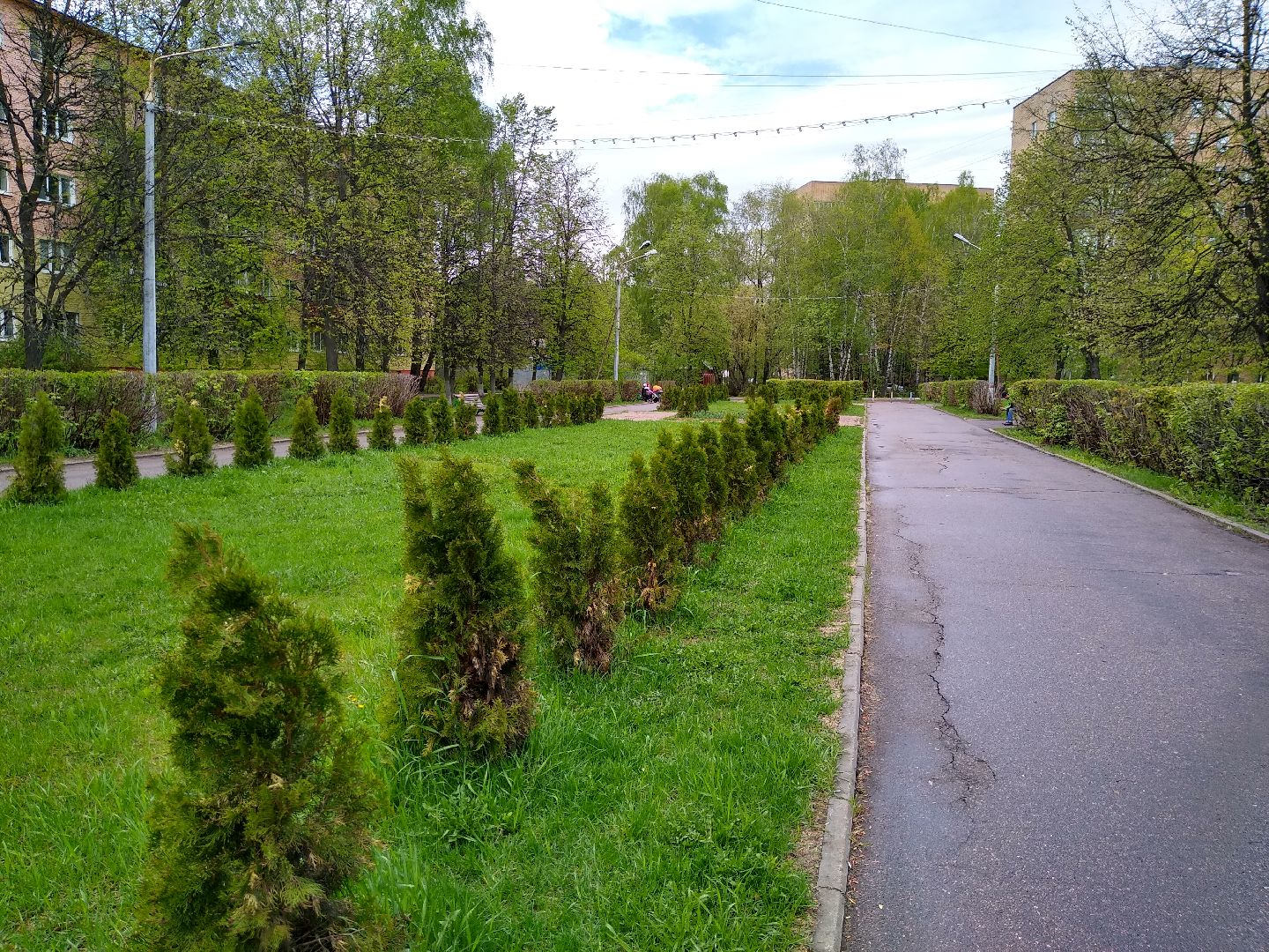 Голос