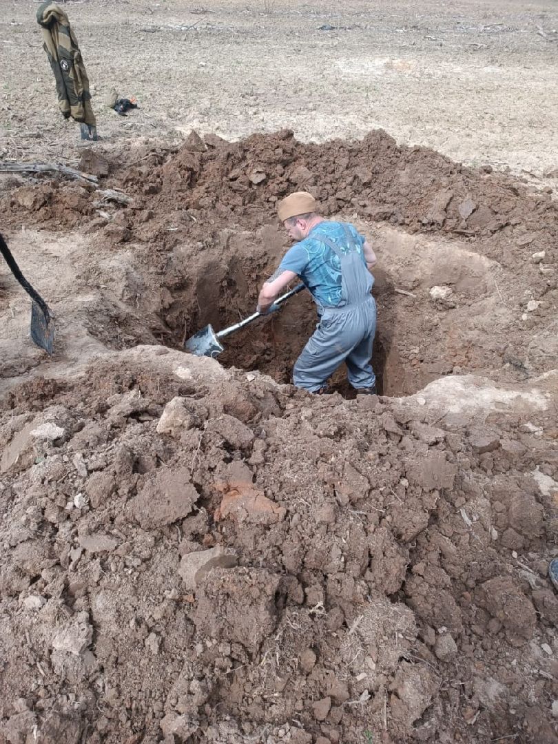 поисковики