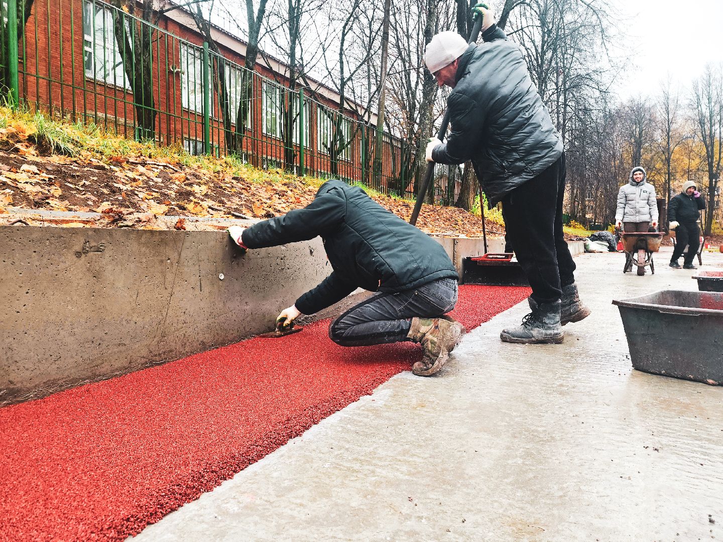 образование