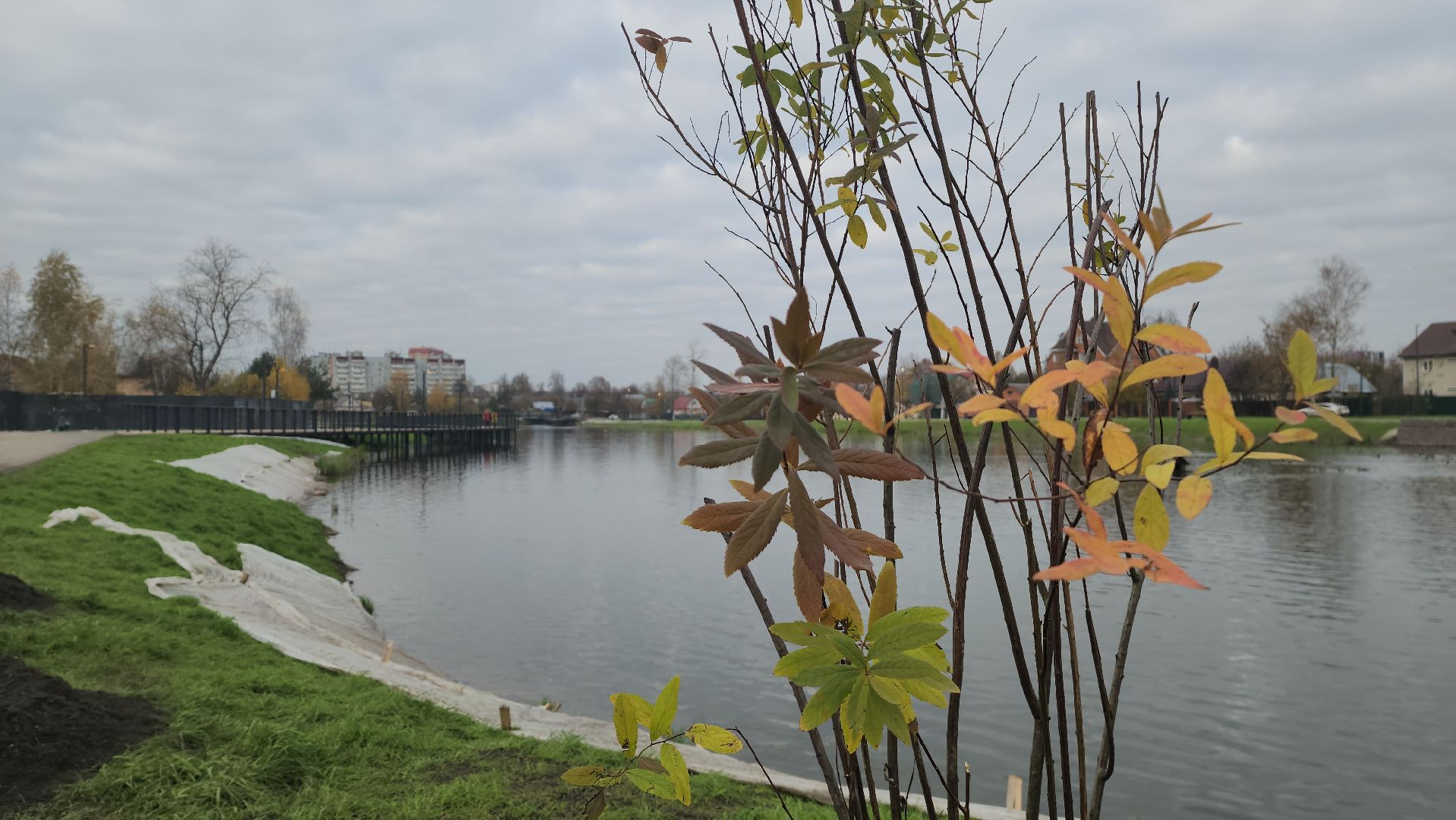 красногорск