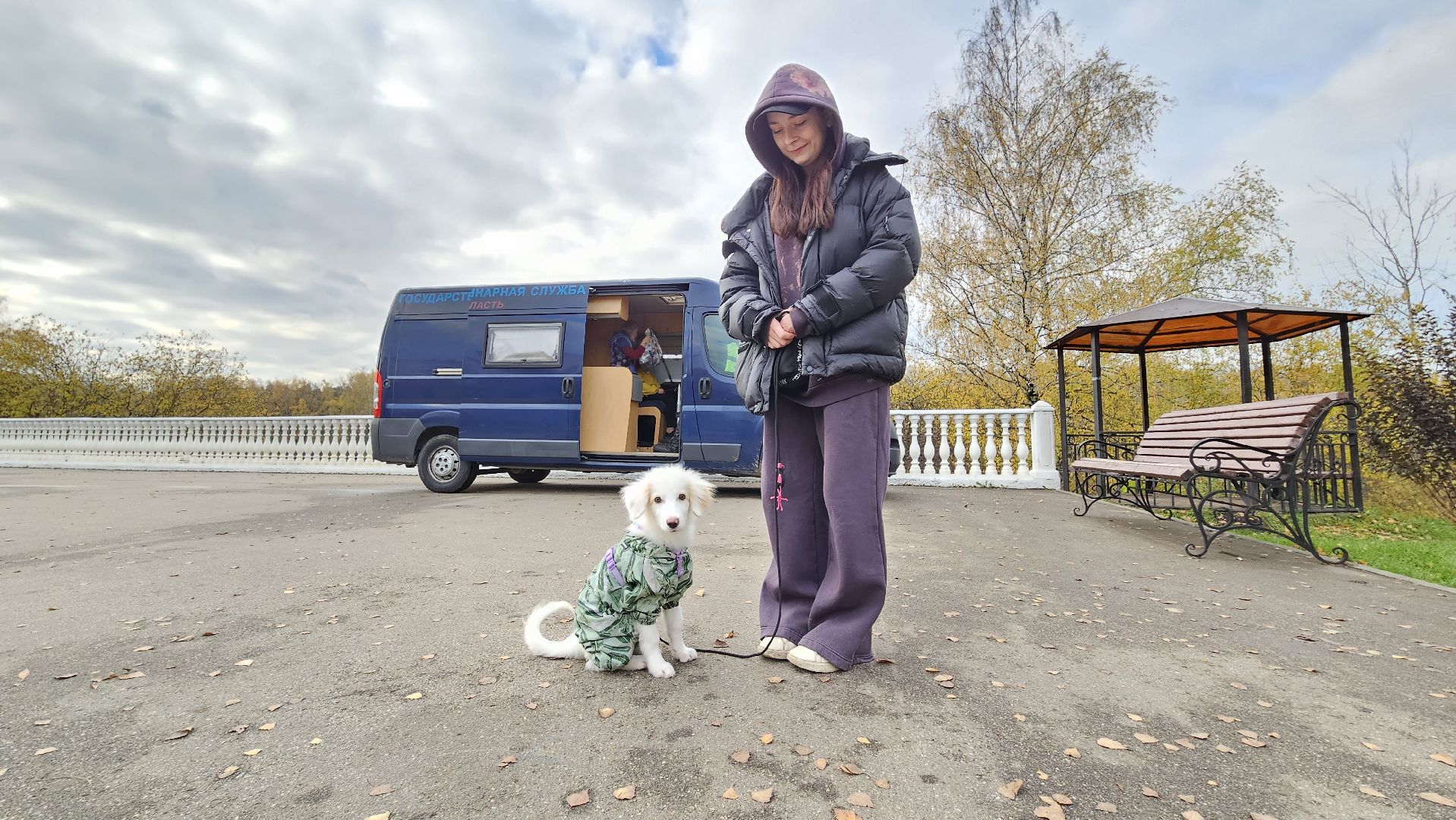 вакцинация животных от бешенства