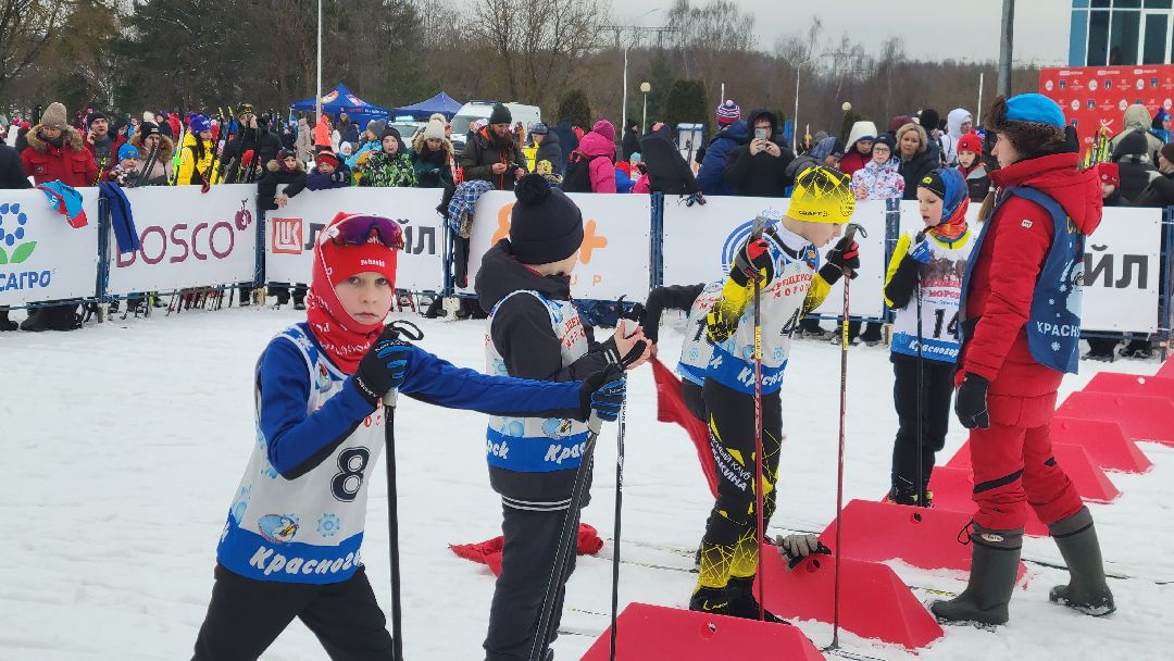 красногорск