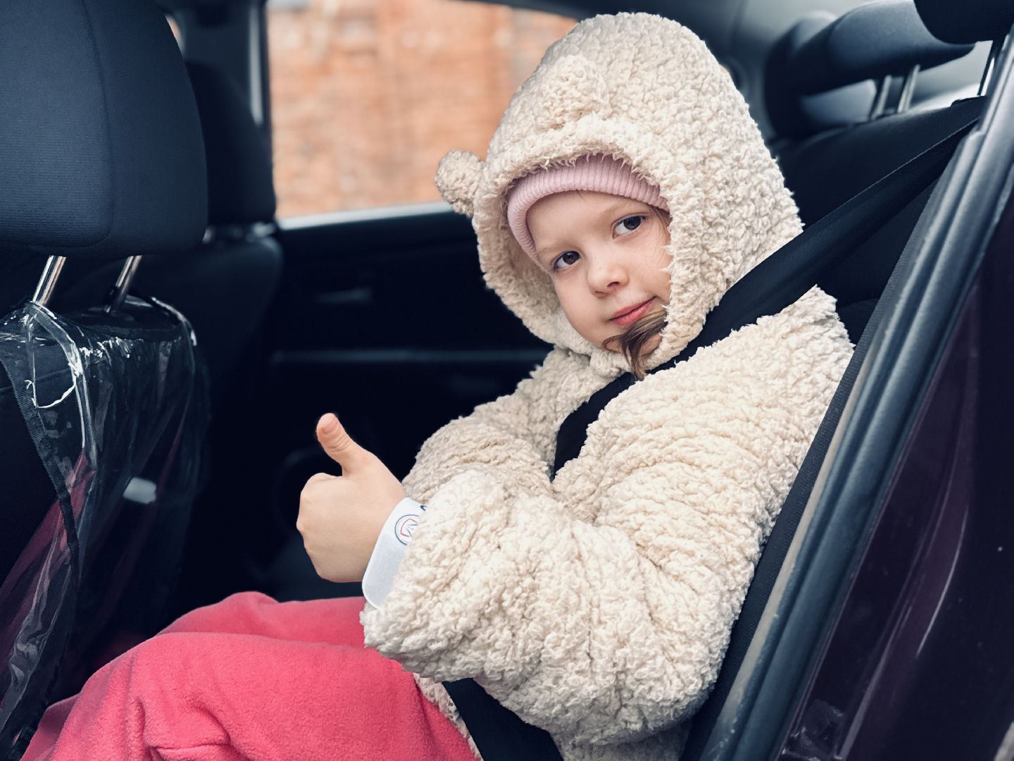 Госавтоинспекция