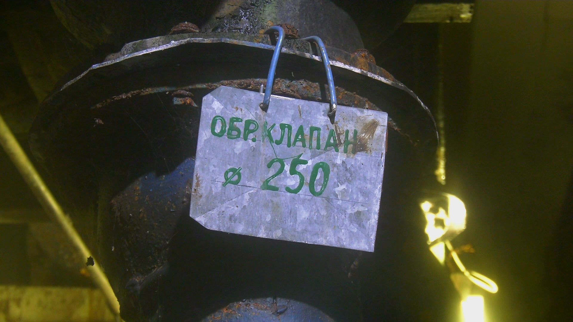 МОсковская область