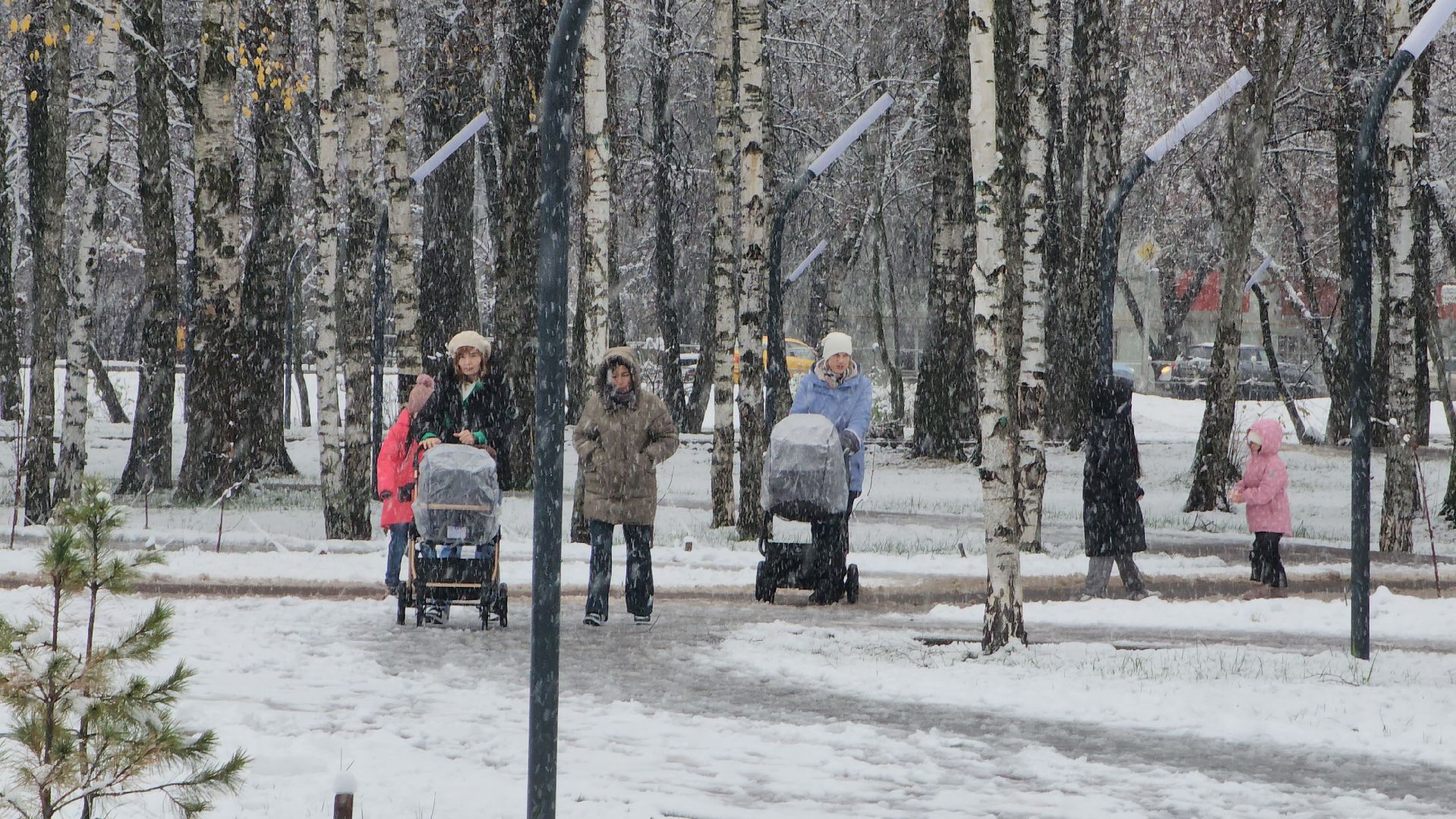 Центральный парк Лобни