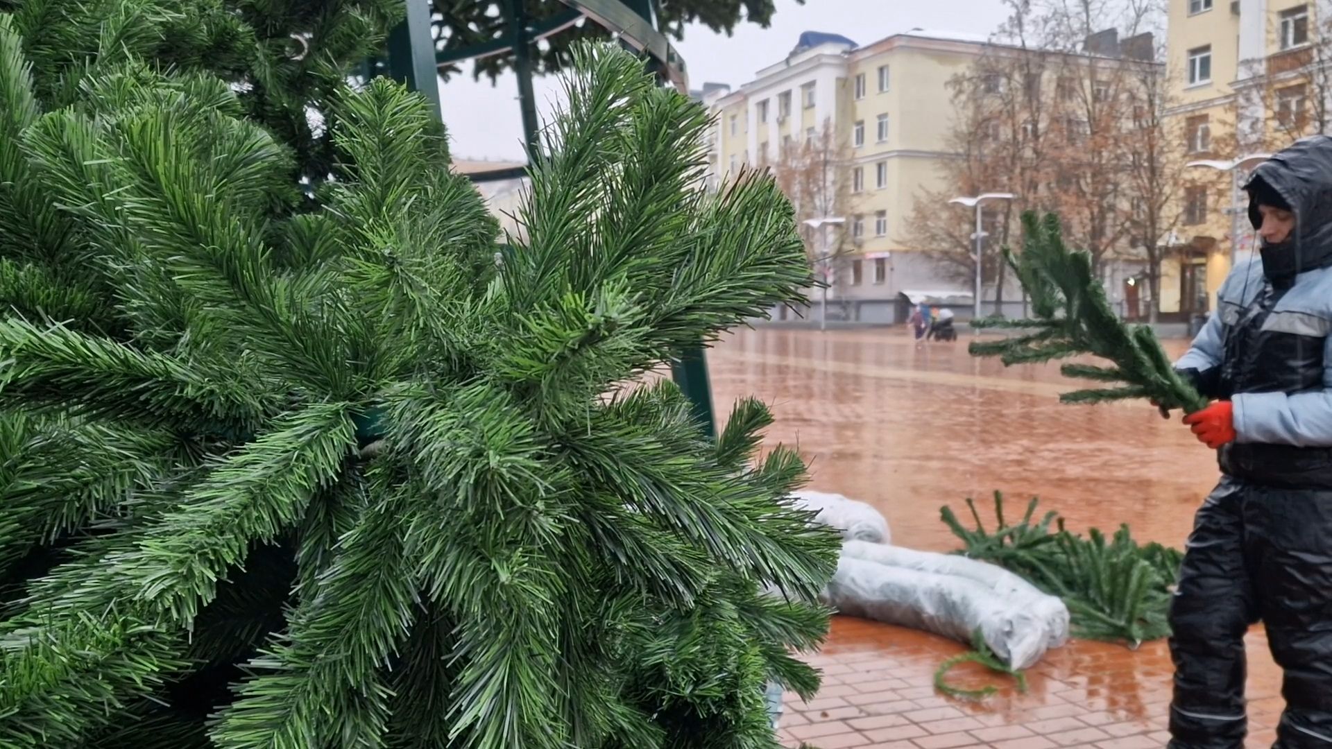 восемнадцатиметровую новогоднюю елку собирают на п