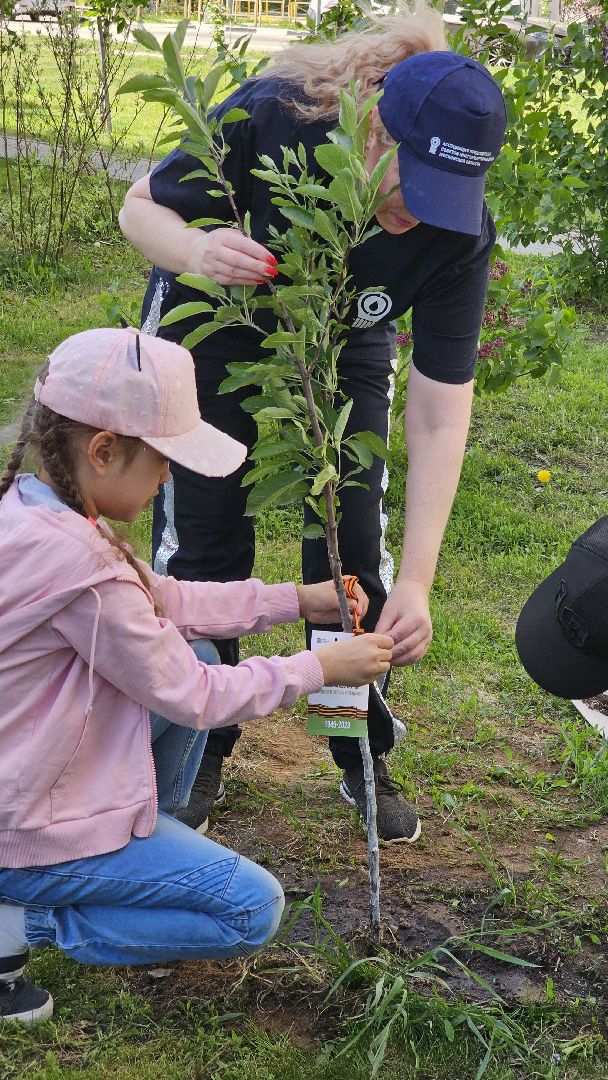 котельники