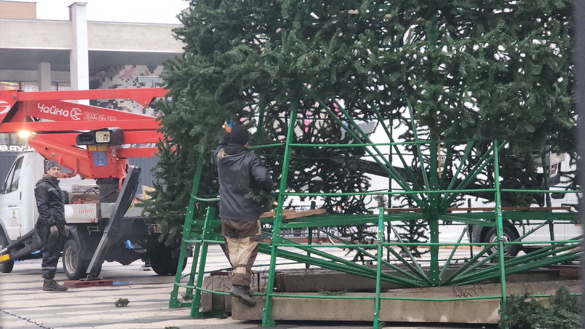 В Мытищах начали устанавливать главную новогоднюю ёлку города