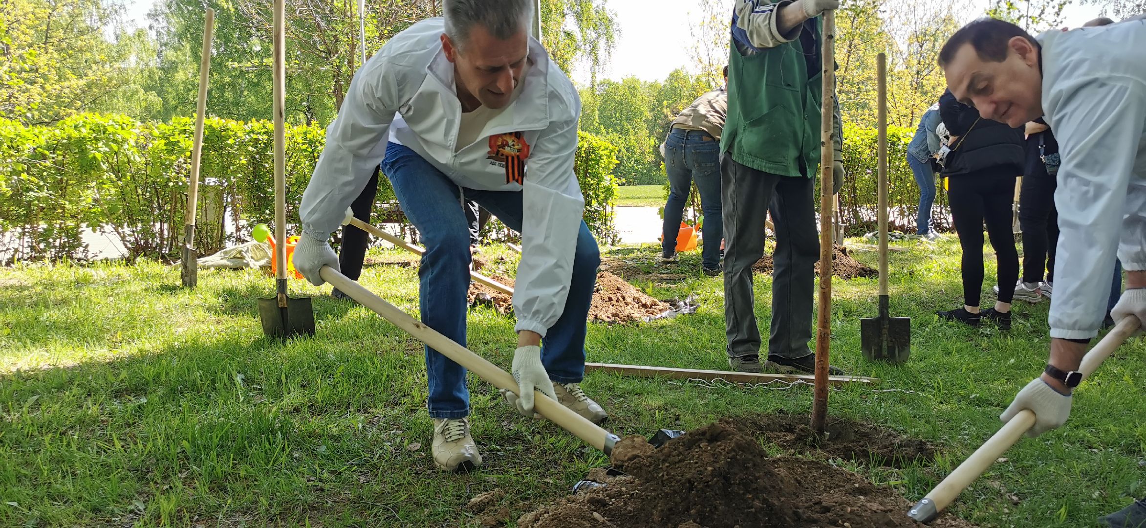 озеленение