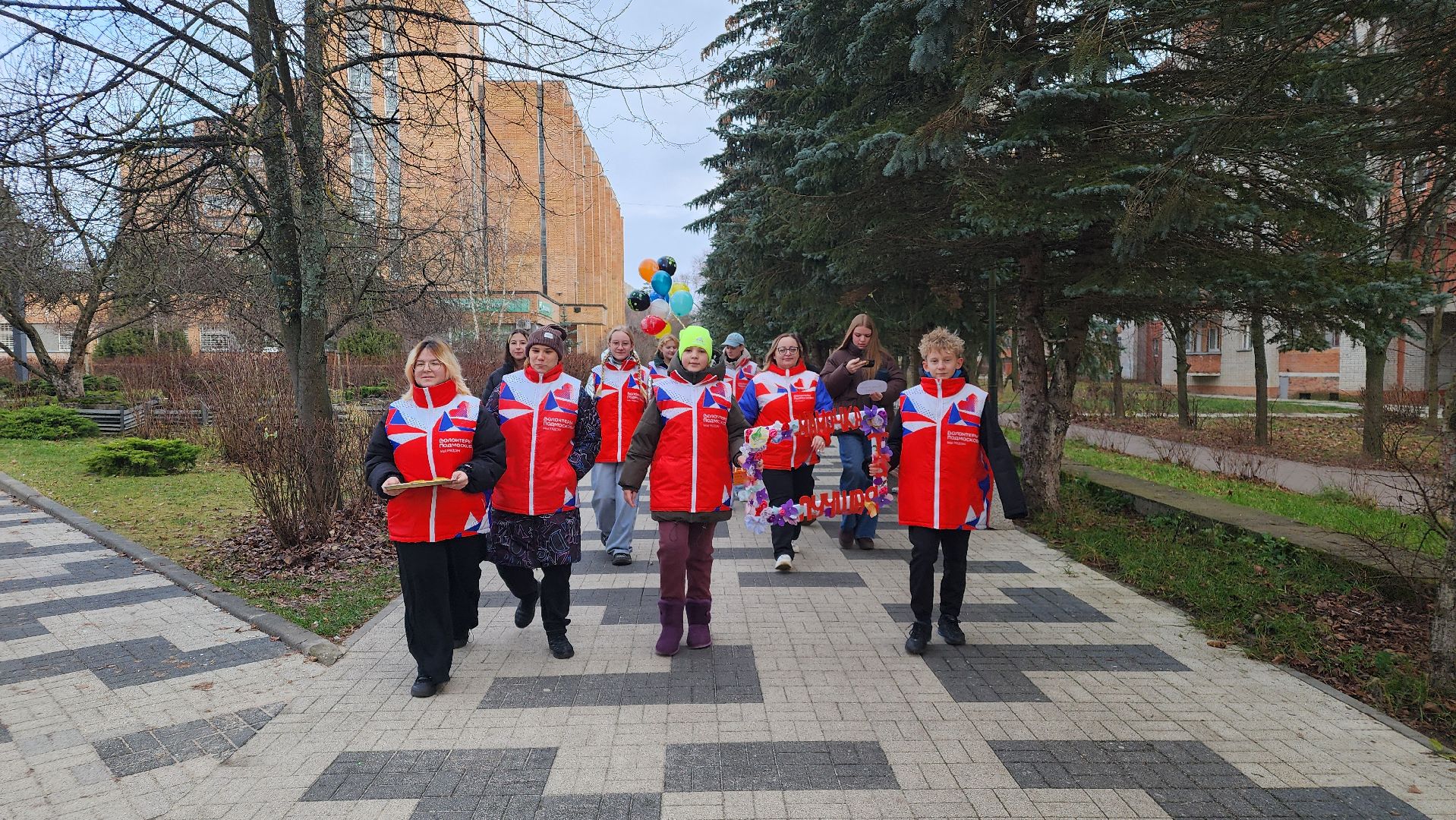 Волонтеры Подмосковья