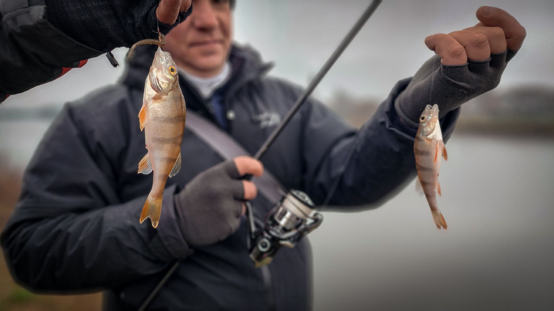 турнир по ловле рыбы на спининг