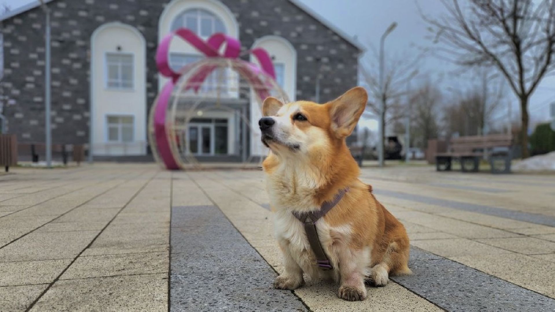 Благоустройство
