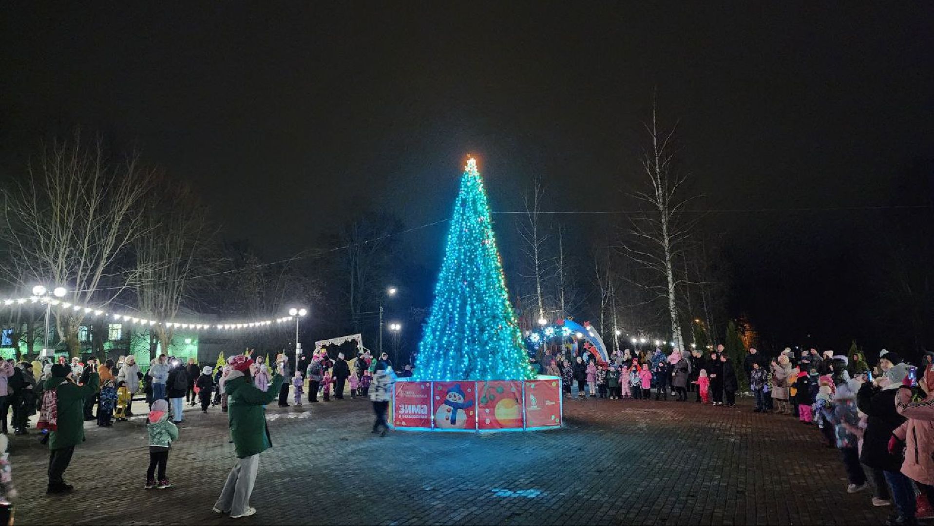 березовый парк