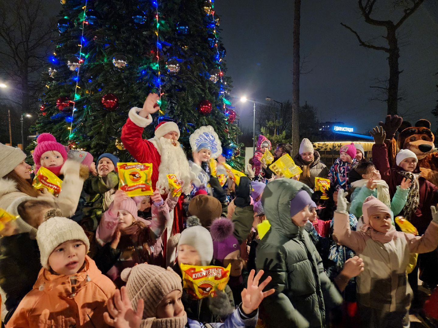 зима в подмомсковье