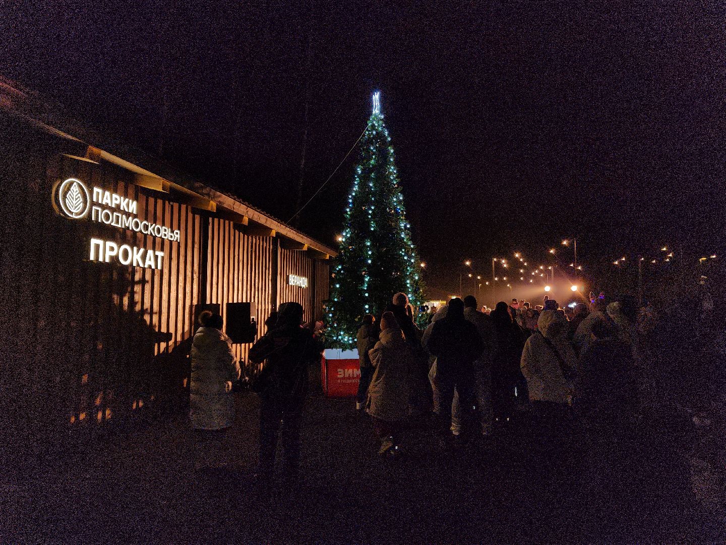 Пушкинский