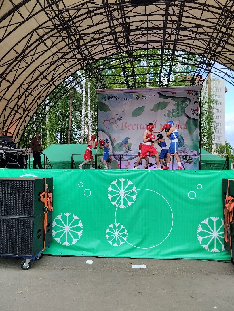 ногинск