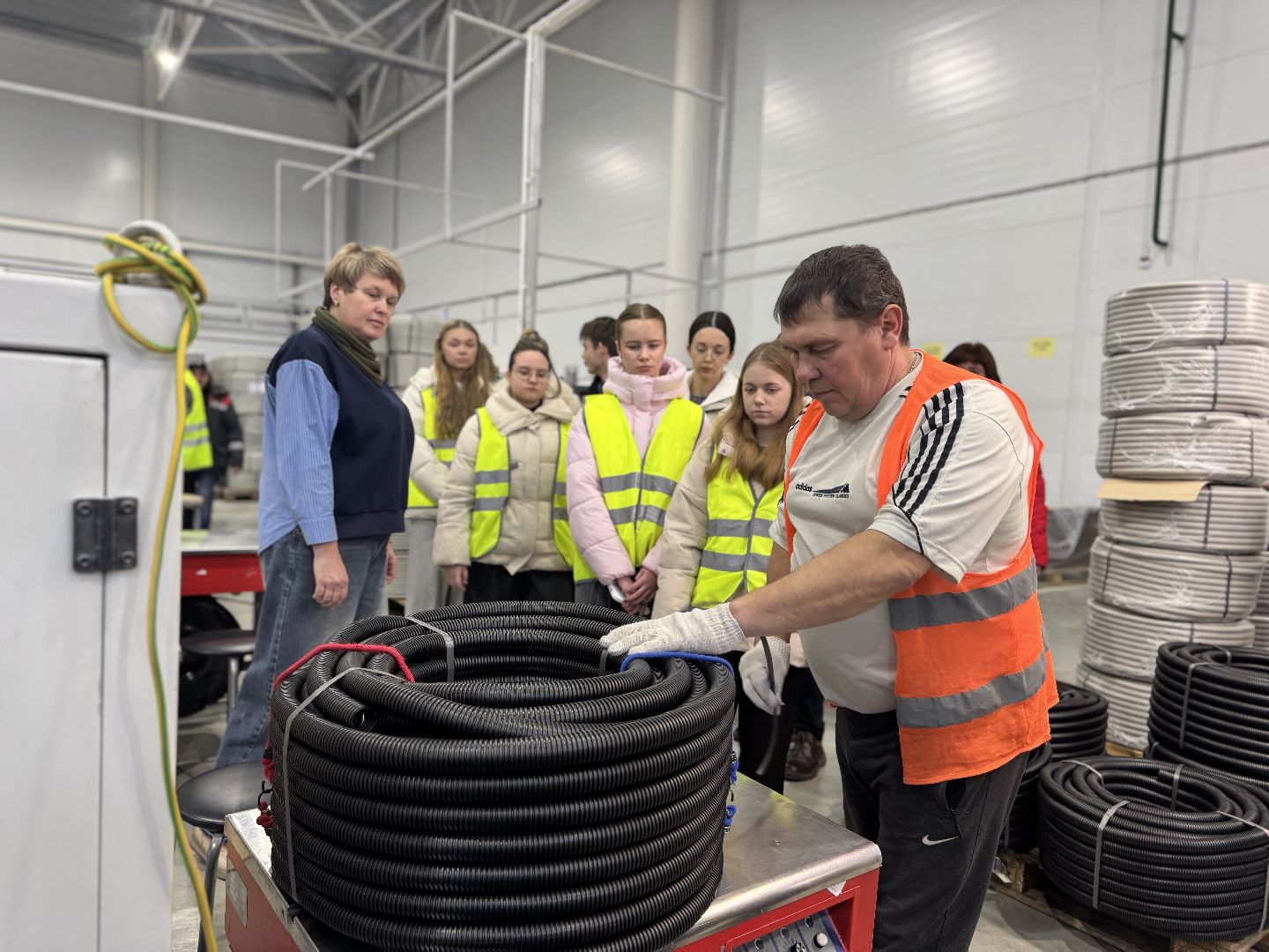 Образование