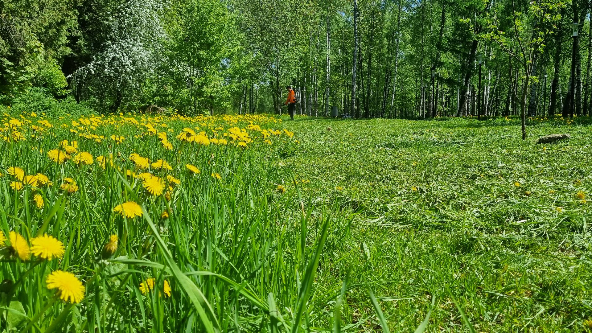 ивантеевка