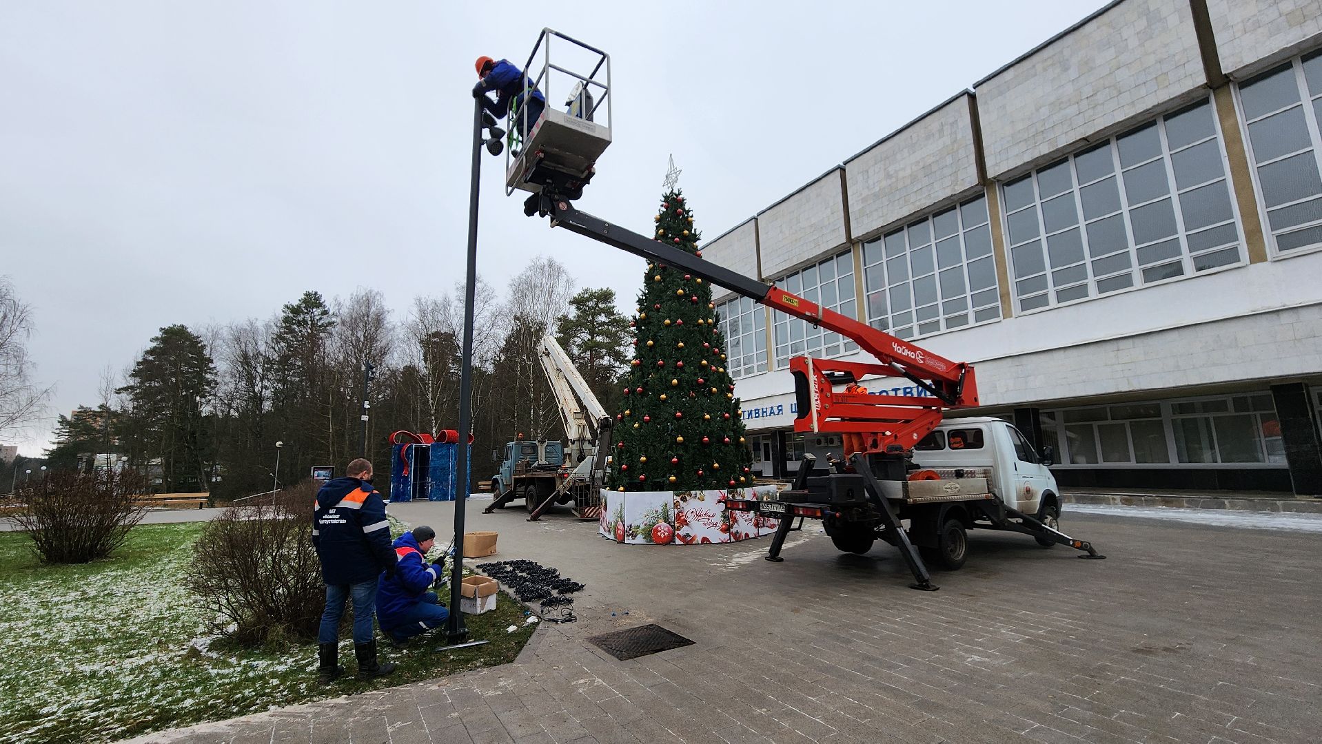 новогодняя елка