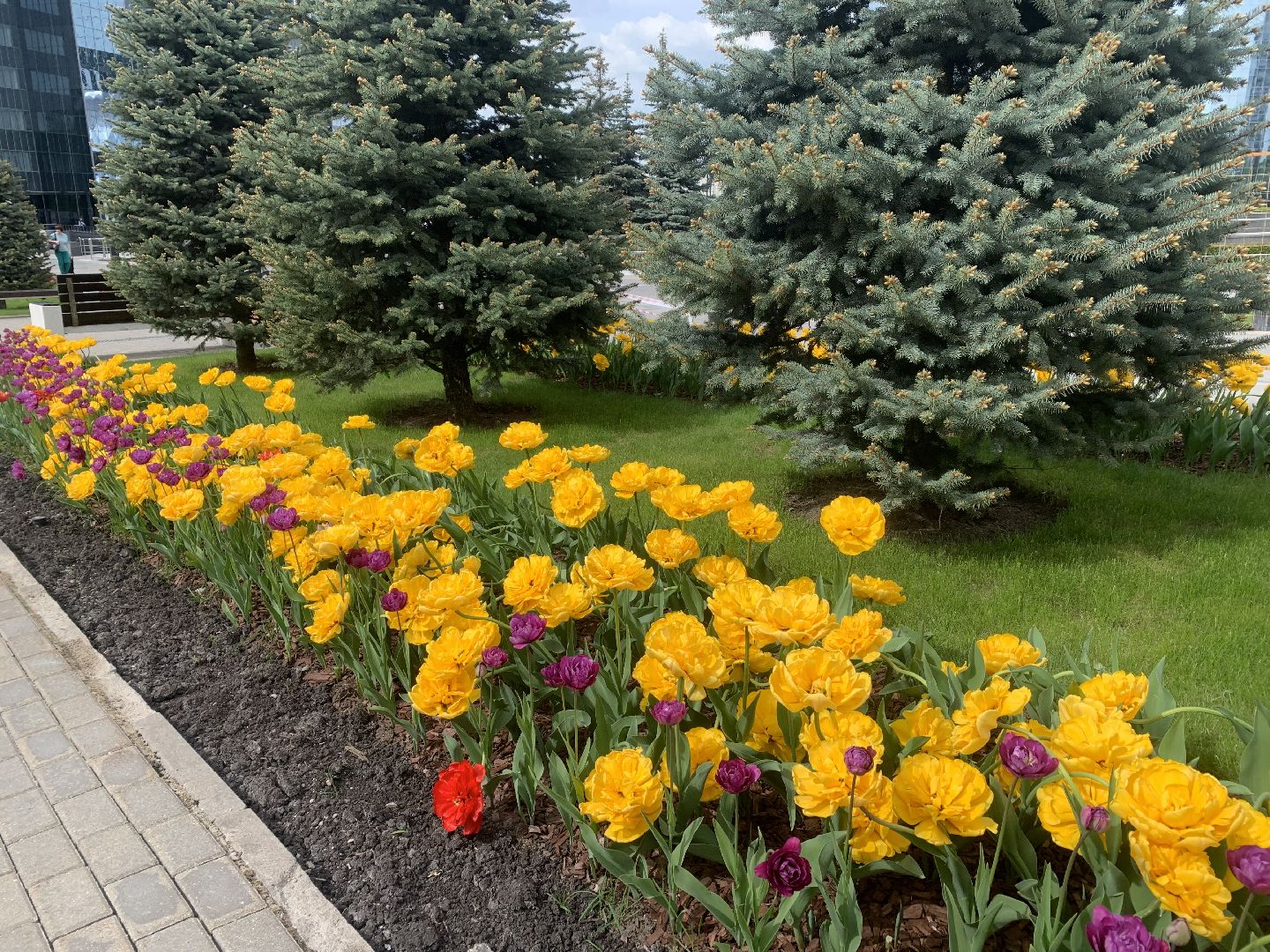 красногорск