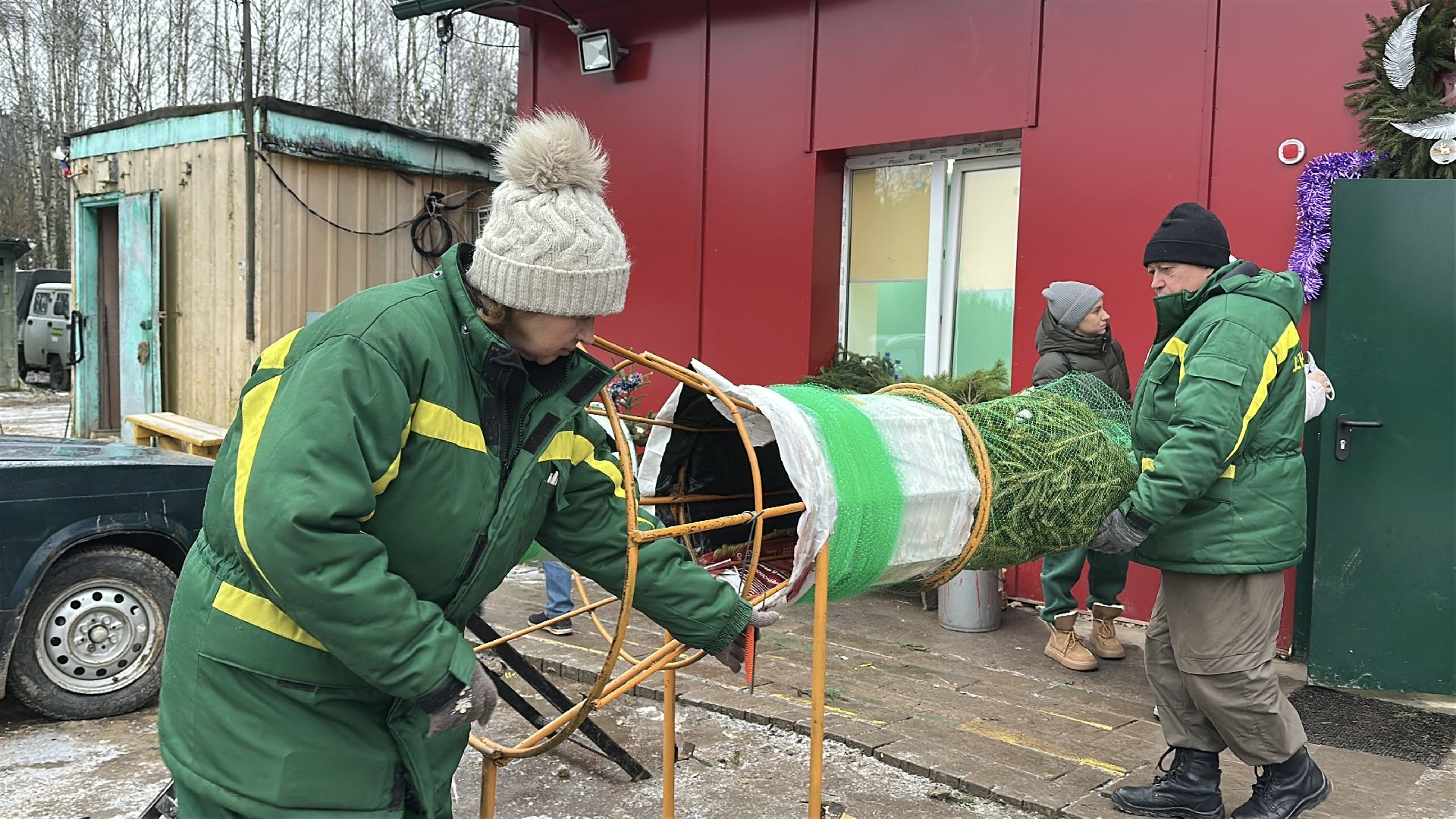 Акция ель домой