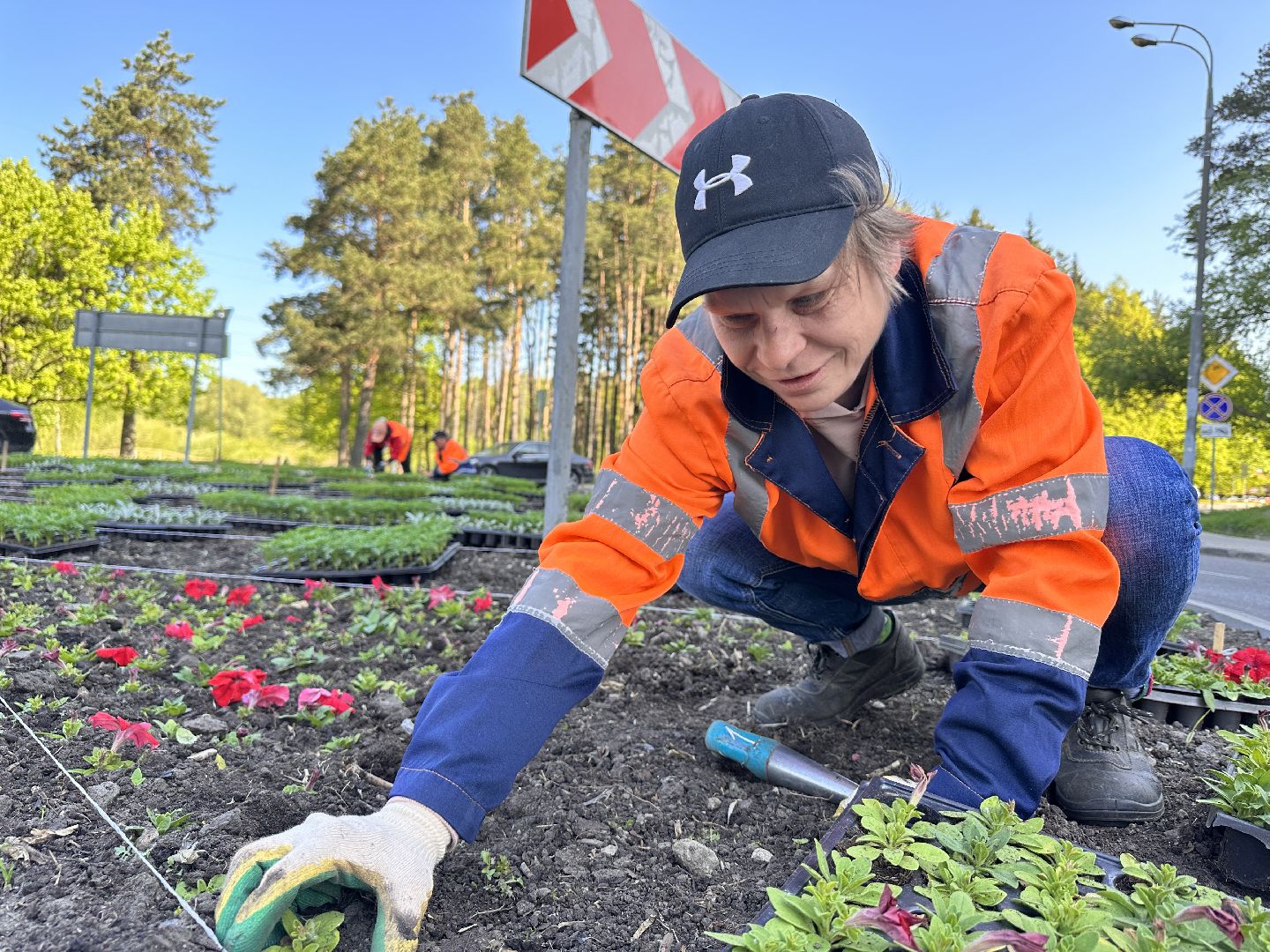 озеленение