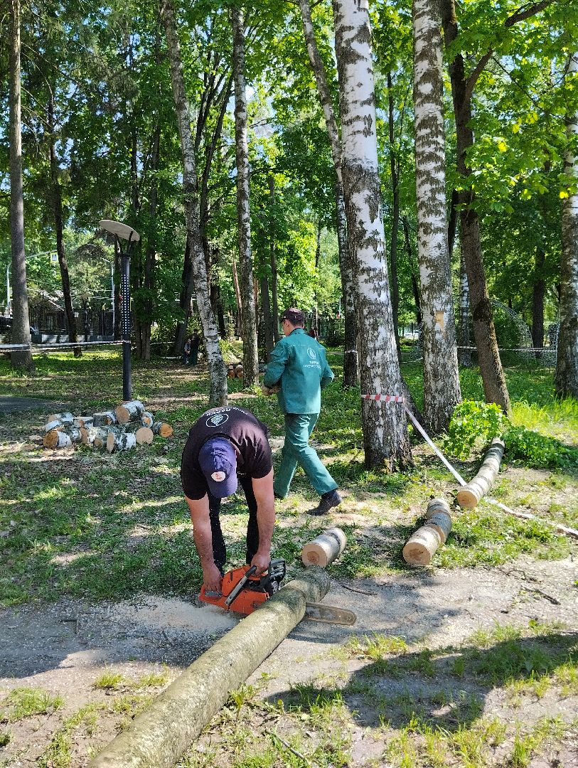 ногинск