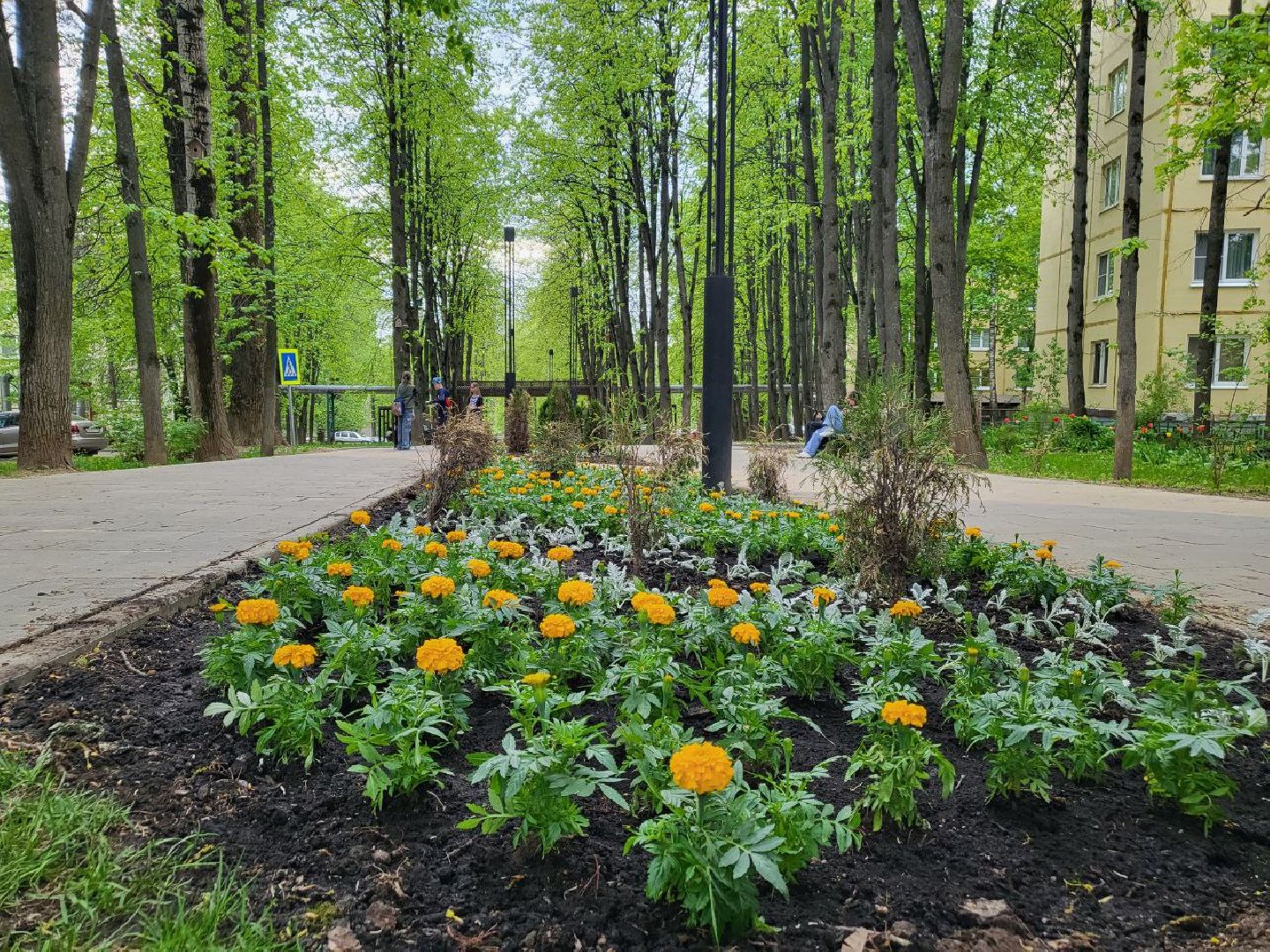 озеленение