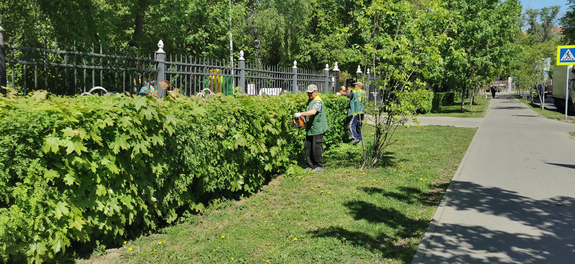 озеленение
