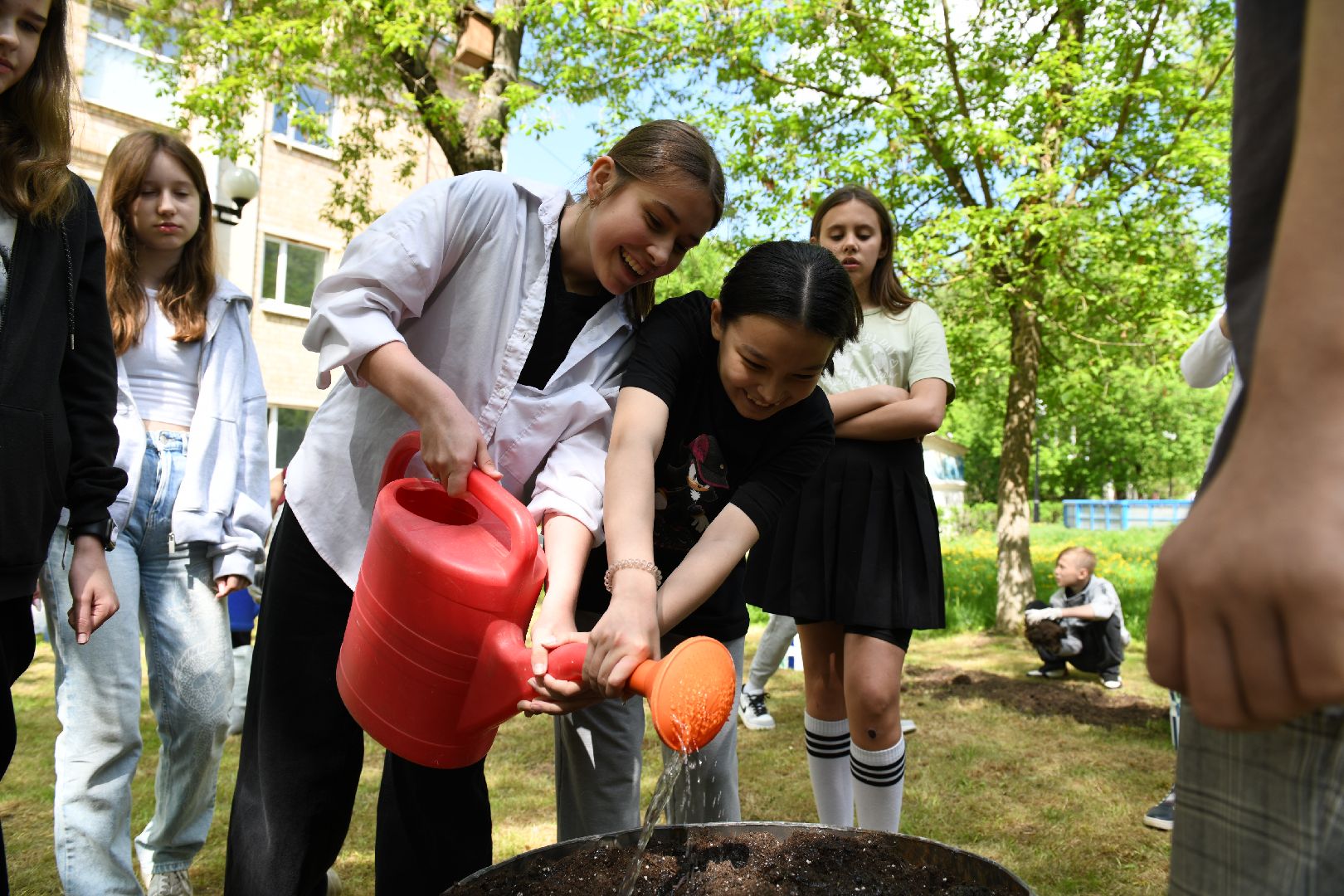 парковый ответ