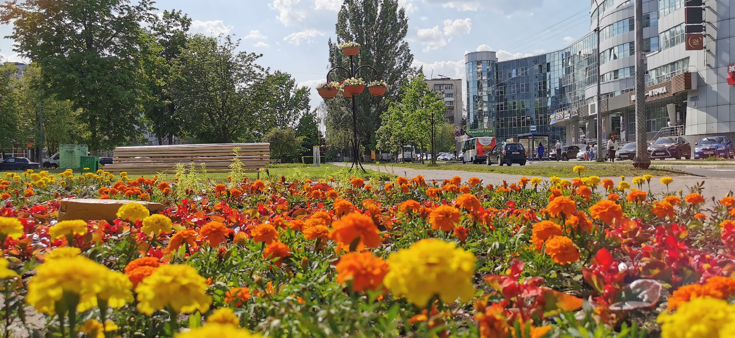 озеленение