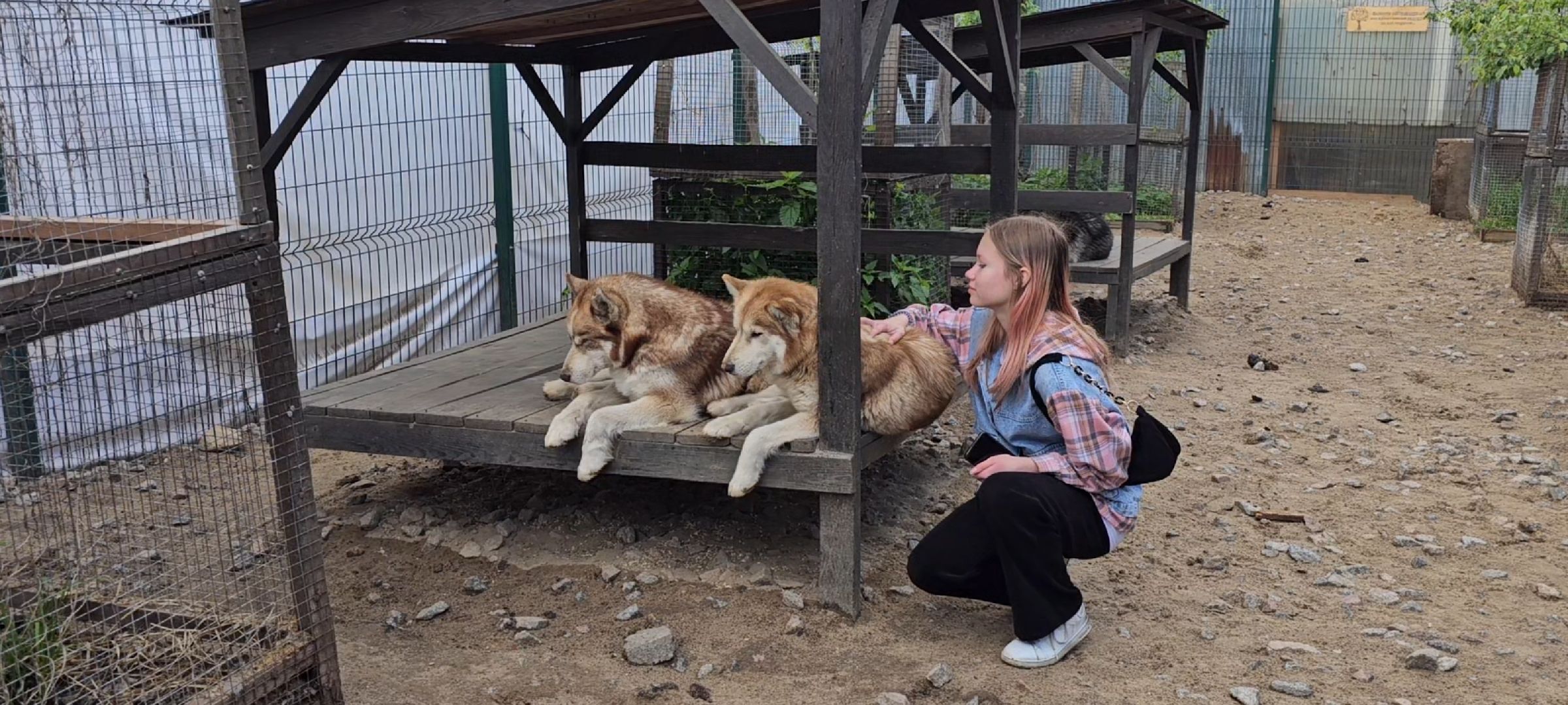 Дзержинский