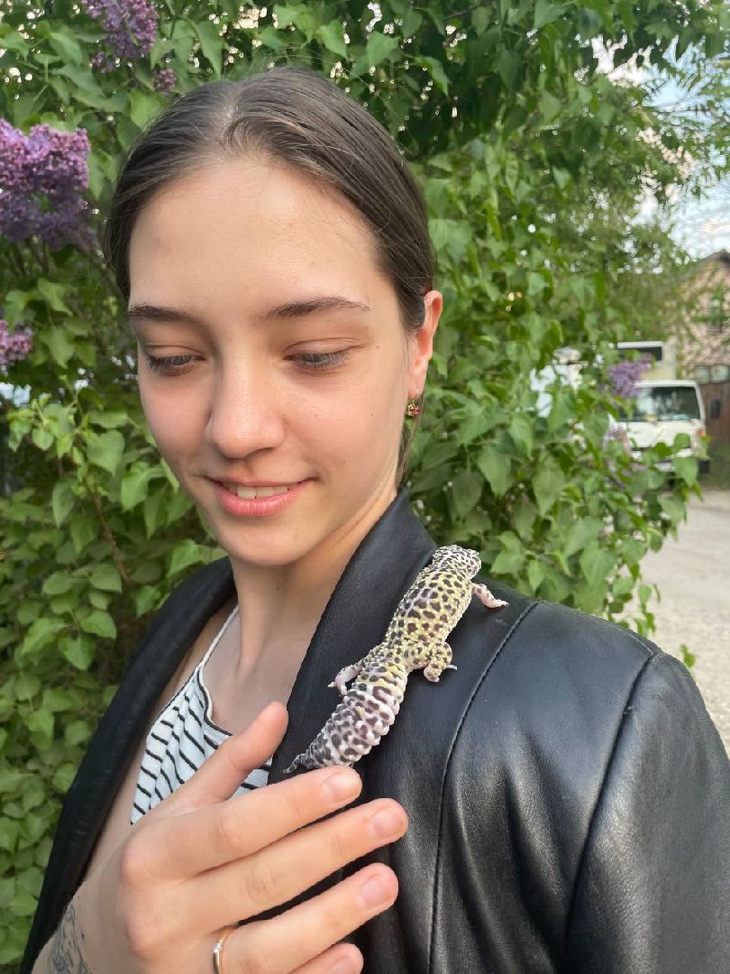 ивантеевка