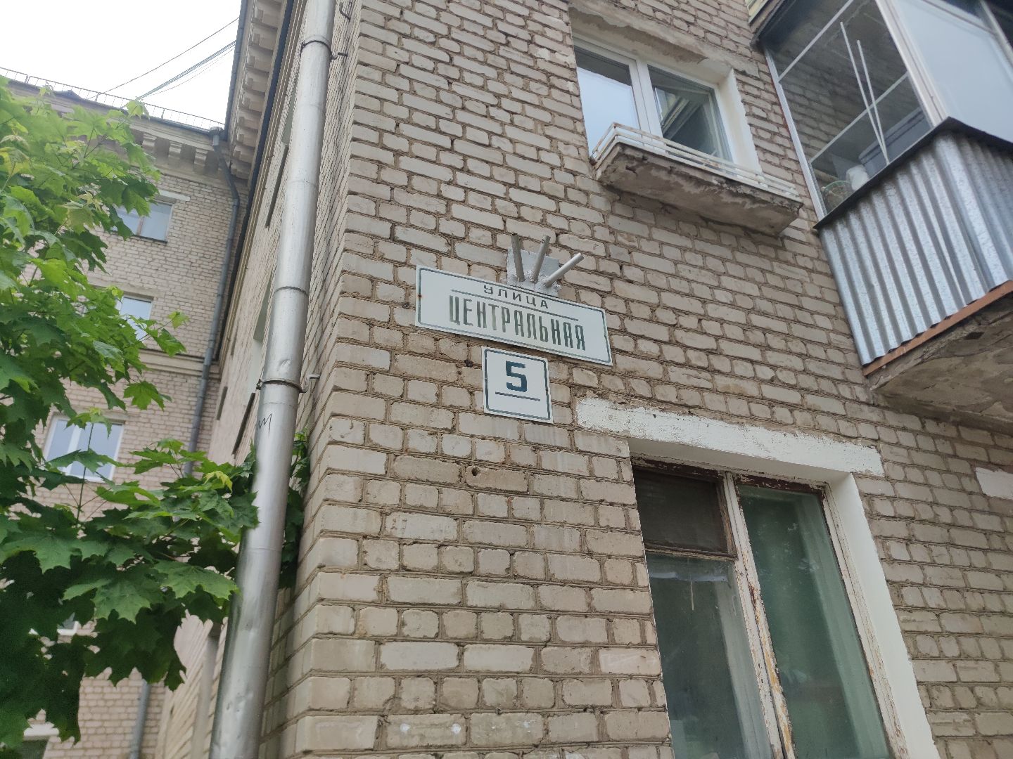 дуб
