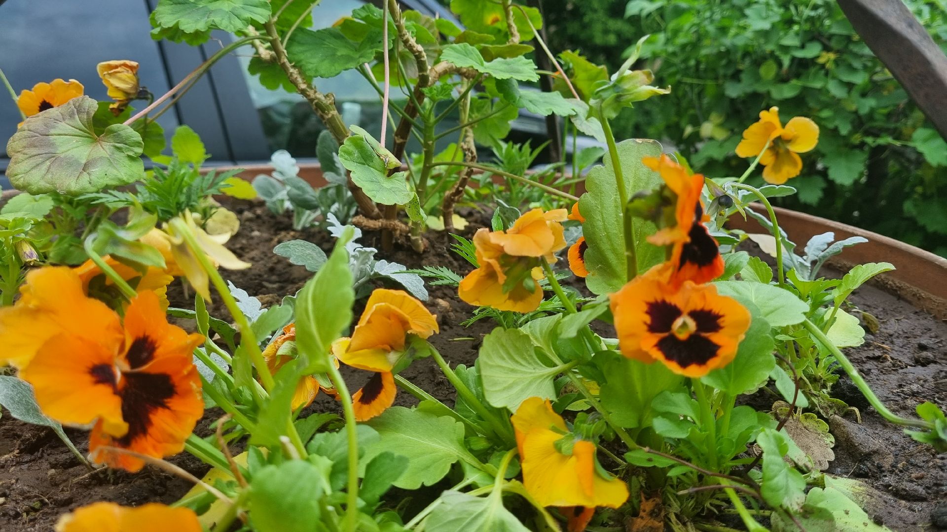 ивантеевка