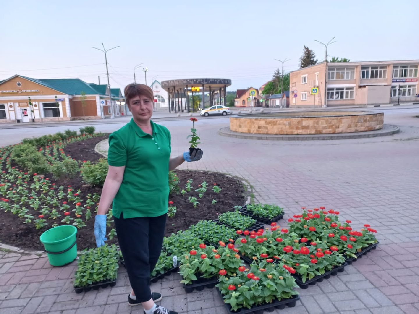 озеленение